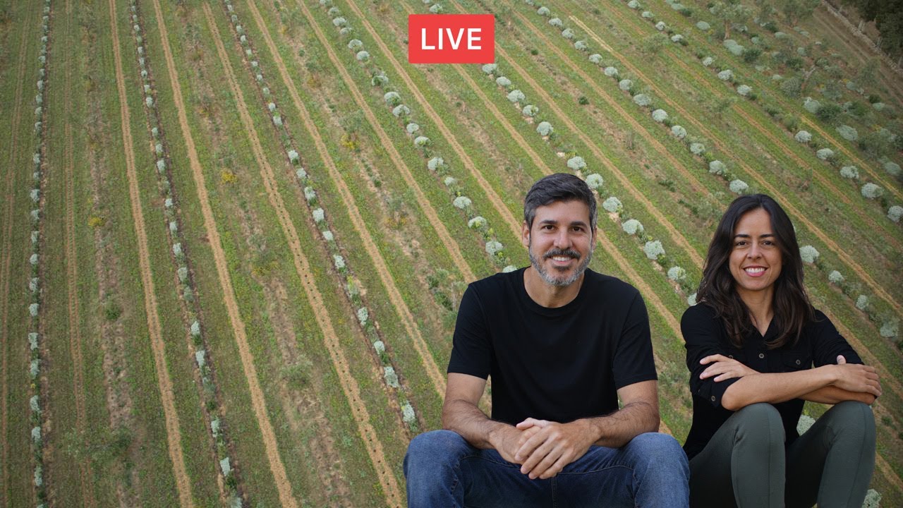 Vivere in SINTROPIA. Coltivare come una foresta con Dayana Andrade e Felipe Pasini🔴