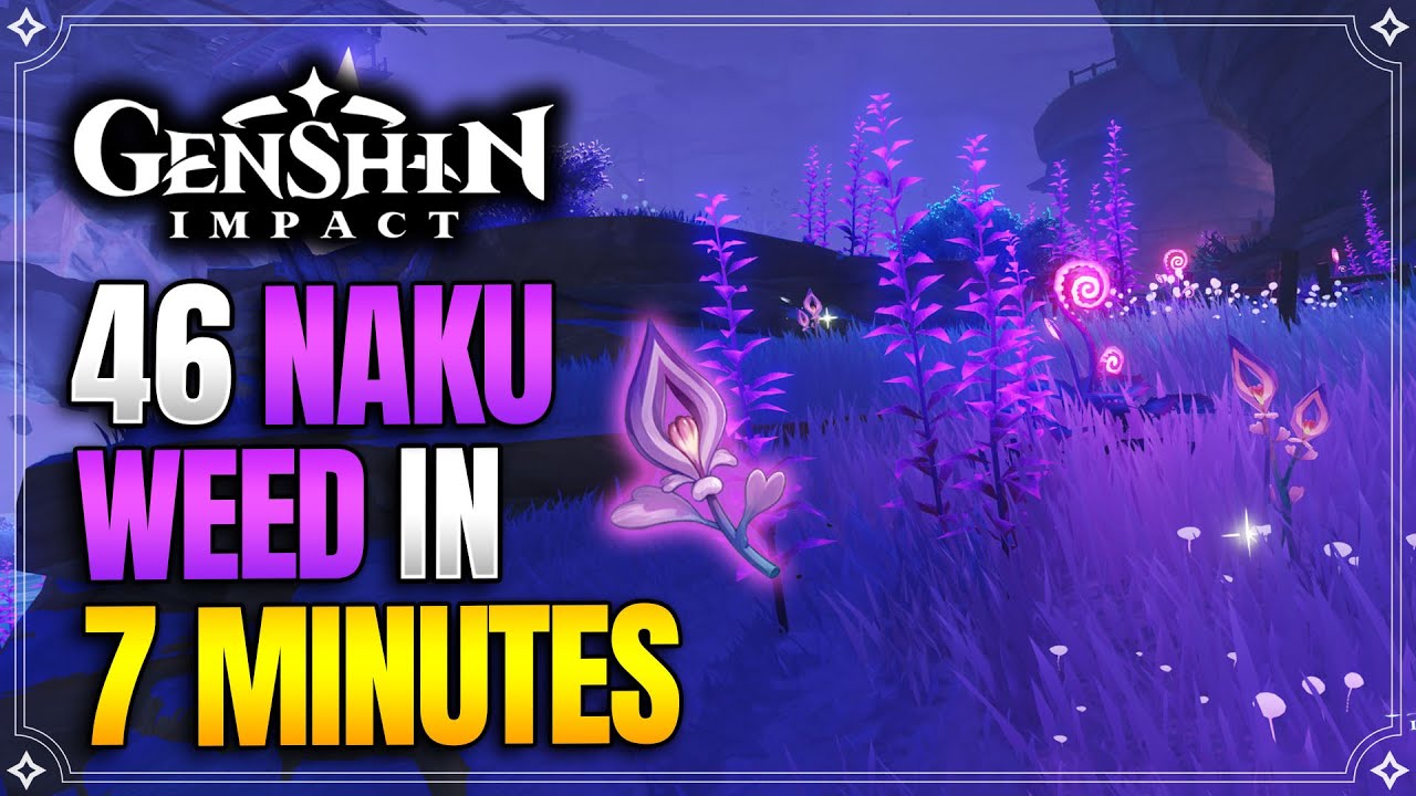 Naku Weed Locations (Old) | Fast and Efficient Route | Yoimiya Ascension Materials |【Genshin Impact】