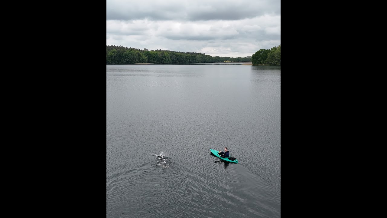 Jezioro Pełcz w pław  Misja : Uwolnić orkę  #pływanie #nature #poland