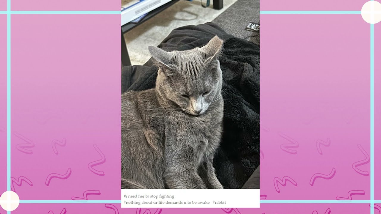 Tumblr and Pok&eacute;mon Character Design