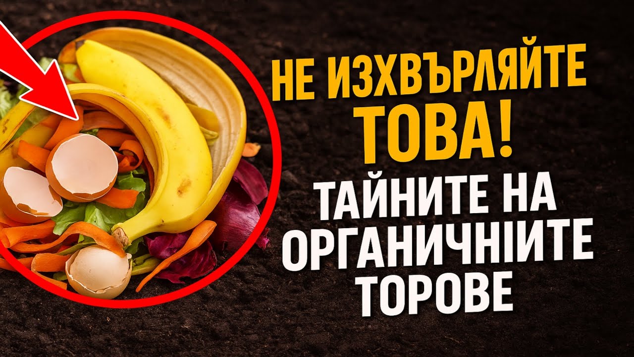 Не изхвърляйте това! Тайните на органичните торове, за които в магазина няма да ви кажат.