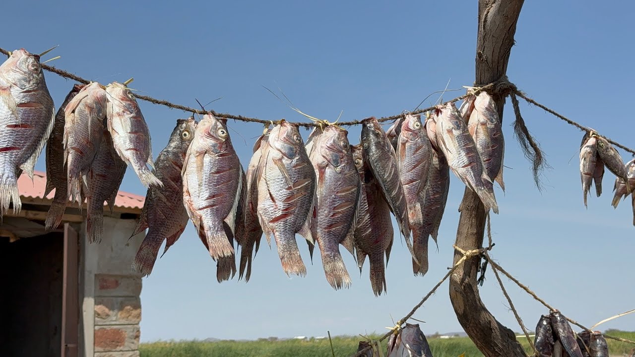 Lake Turkana Safari (Journey to the Jade Sea) - to Turkwel