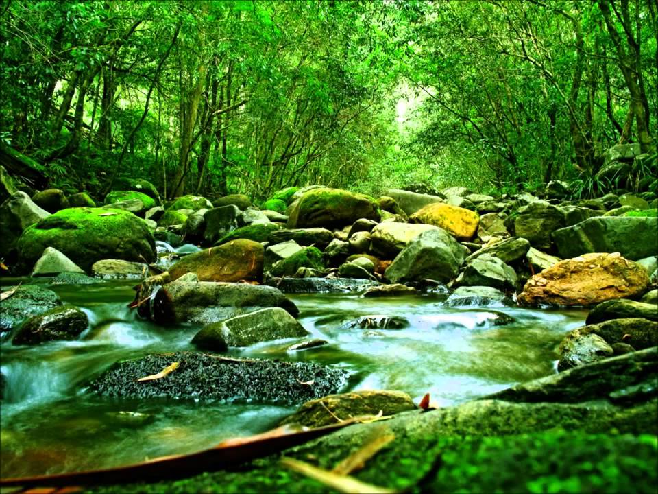 Música para aplicação de Reiki (11), marcação a cada 3 min. (recomendada por Johnny De' Carli)