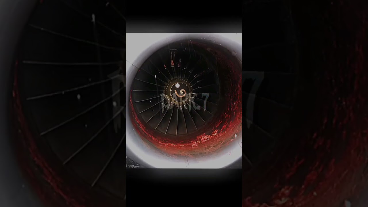 On July 13, 2004 man sucked into plane engine. #dark #real #story #scary #plane #engine