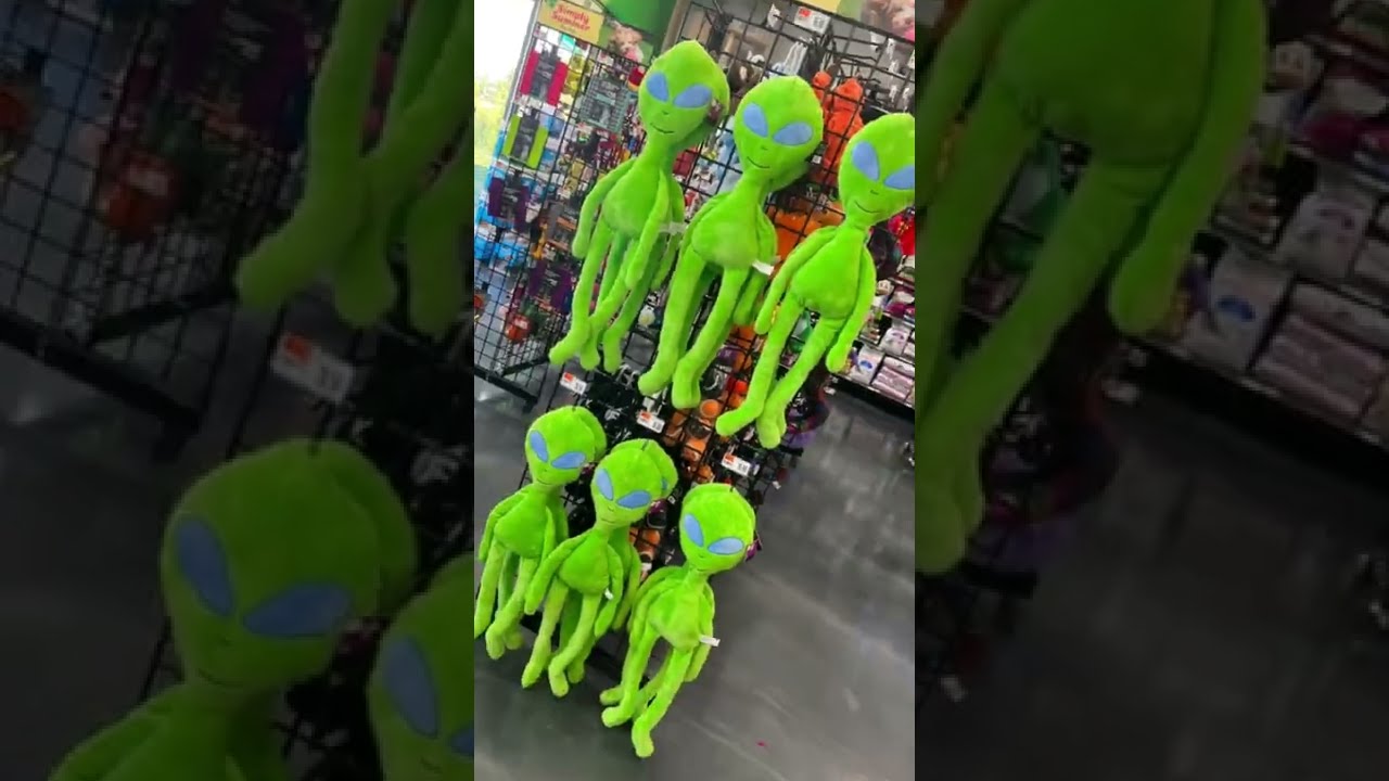 Pet Supplies Plus - Halloween is Coming