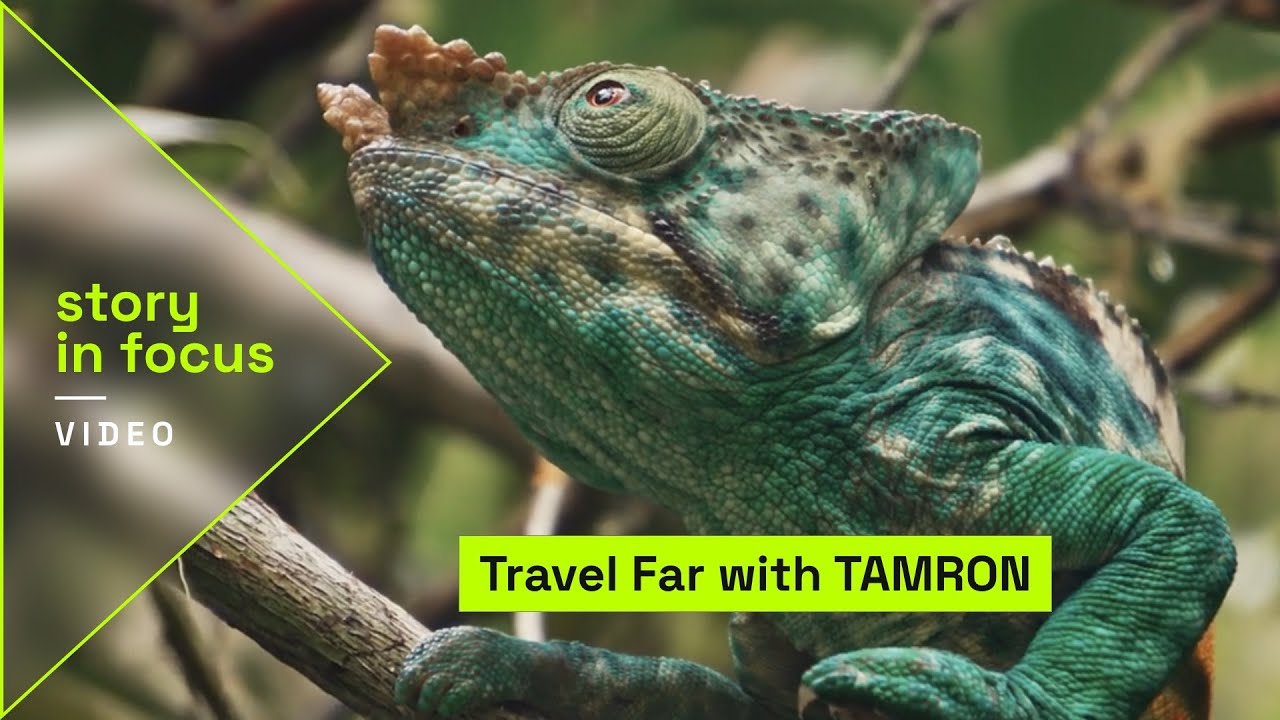 Reise. Entdecke. Zoome. | TAMRON 18-300mm jetzt auch für Nikon Z & CANON RF