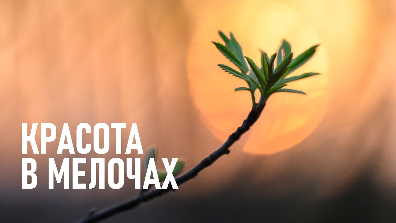 Фотография окружающего мира: красота, которую мы почти не замечаем