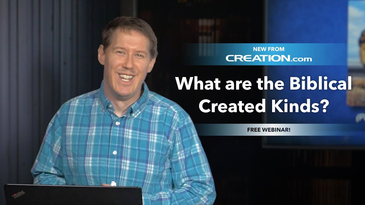 What Are the Biblical Created Kinds? (Webinar)