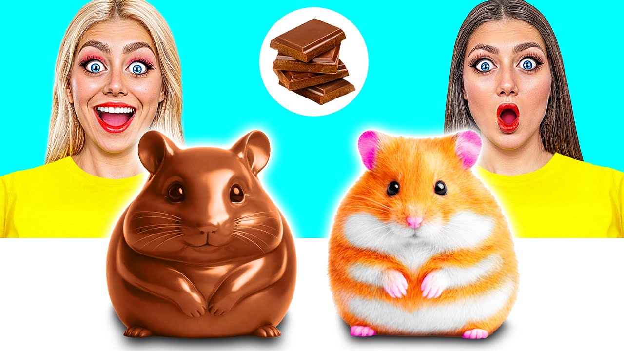 Schokolade vs Echtes Essen Challenge | Tolle Küchen-Tricks von Funny DO Challenge