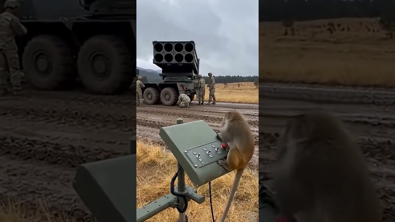 This Tactical Monkey was Ready For Duty 😀 