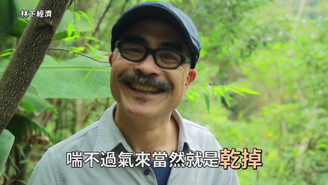 台中谷關 天上掉下來的馬告