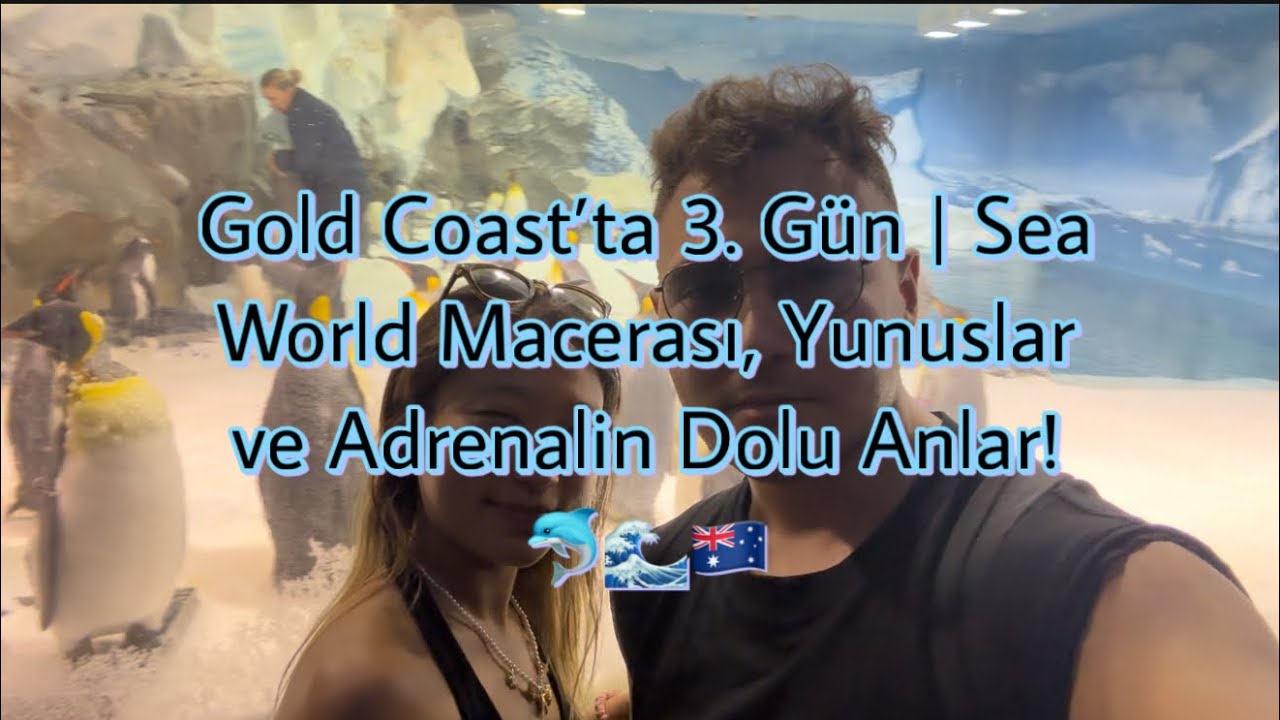 Gold Coast’ta 3. Gün | Sea World Macerası, Yunuslar ve Adrenalin Dolu Anlar! 🐬🌊🇦🇺
