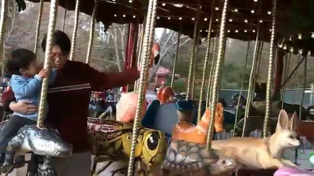 The Carousel At The National Zoo - Washington DC - 11/21/2015.