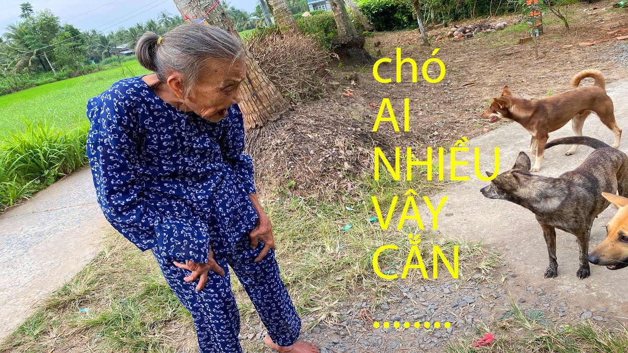 CỤ MỊNH ĐI ĐÁM 2 BÀ CHÁU CHỞ NHAU TRÊN XE  NGOẠI CHỬI QUÁ XÁ .Ut Quy Vlogs tậ 97