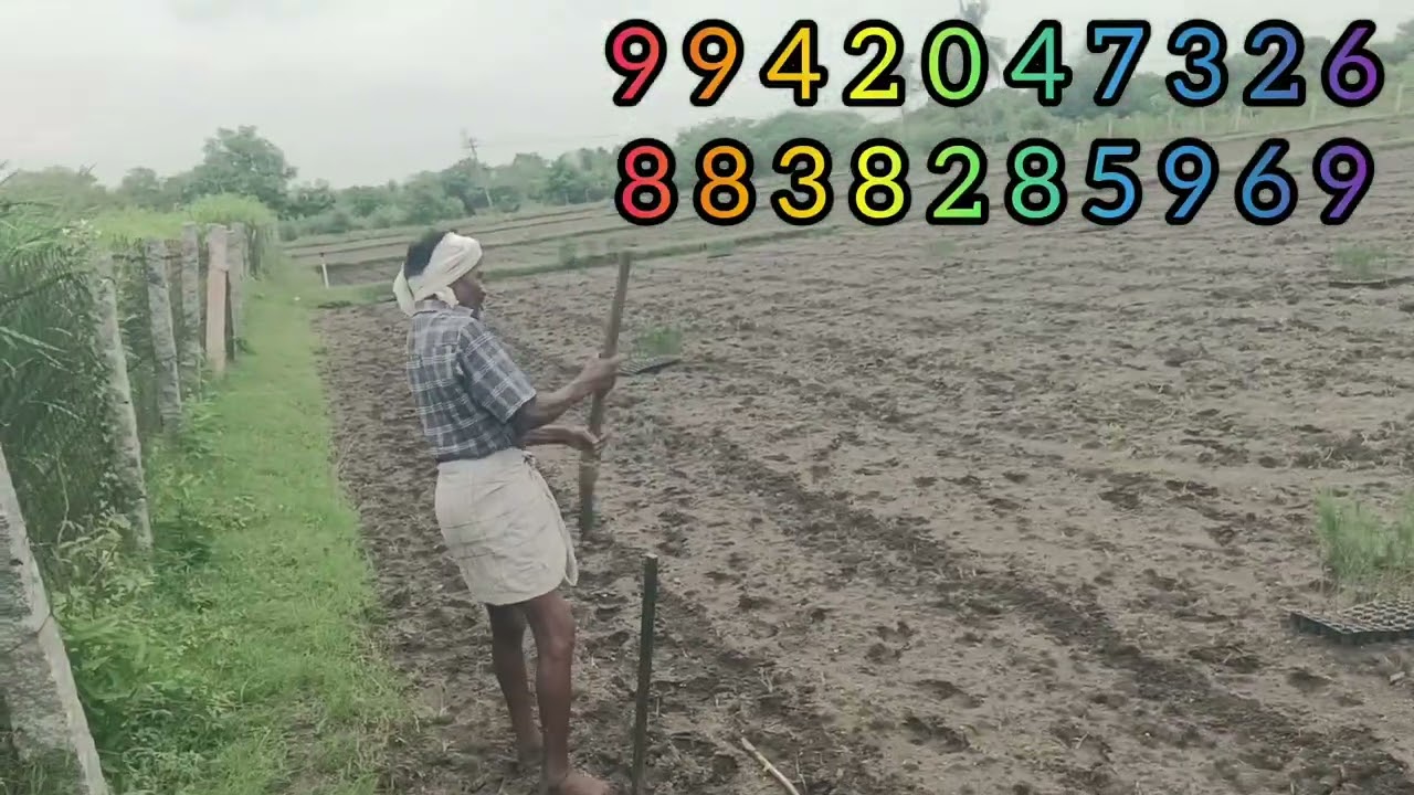 சவுக்கு CH-5 speed hybrid savukku 9942047326