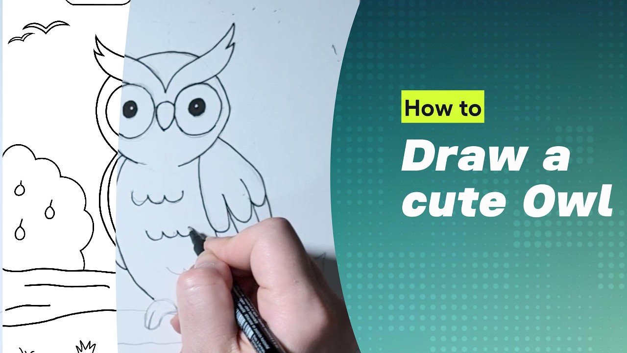 Draw a cute owl, step by step guide