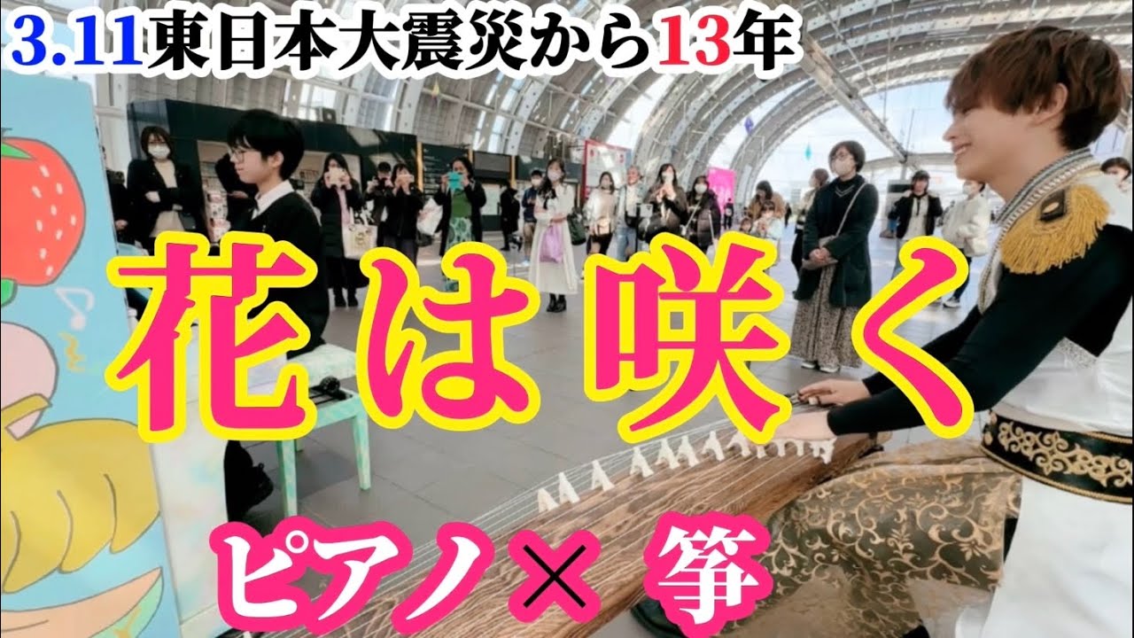 【あれから13年】お筝とピアノの音色が美しい『花は咲く』で復興の輪を繋ぐ