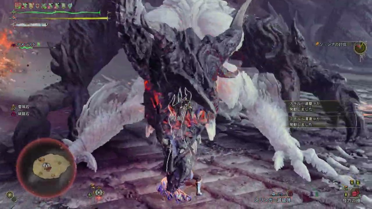 【MHWilds】星10 ゾ・シア 7'41 ランスで周回してみたけど全然カウンターしないしランスじゃなくていい件
