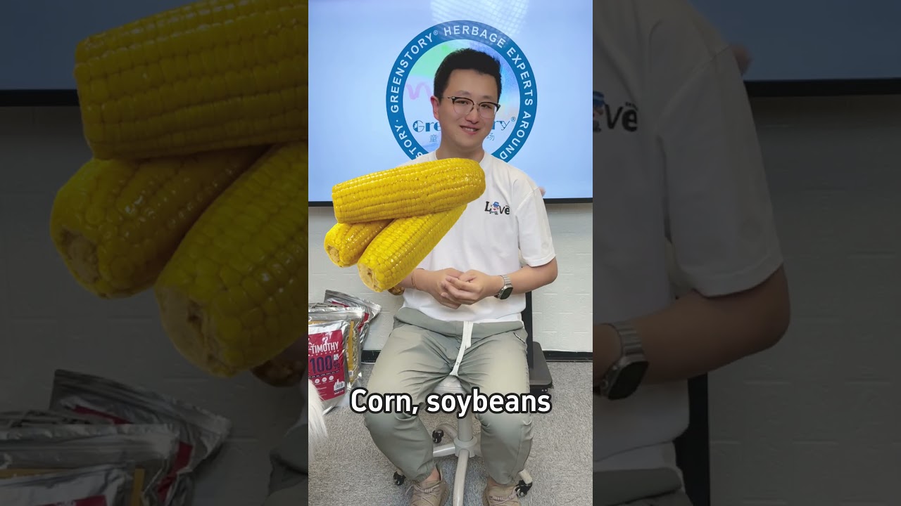 🐰Dietary taboos for rabbits！ #pets #rabbit #bunny #smallpets