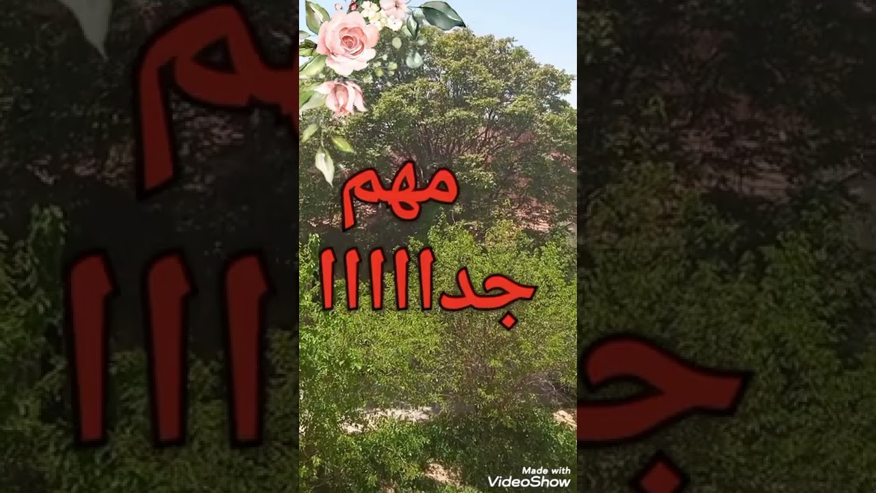 جرح الرفض(قناع الهارب)🏃الحلول✅