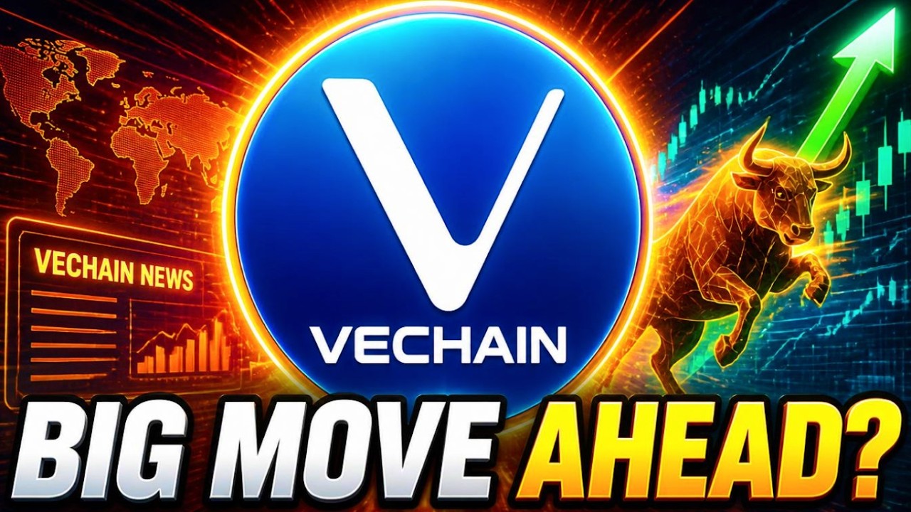 VECHAIN: The Setup Looks Perfect, Are We About to See a Major Move UP?- VECHAIN Price Prediction