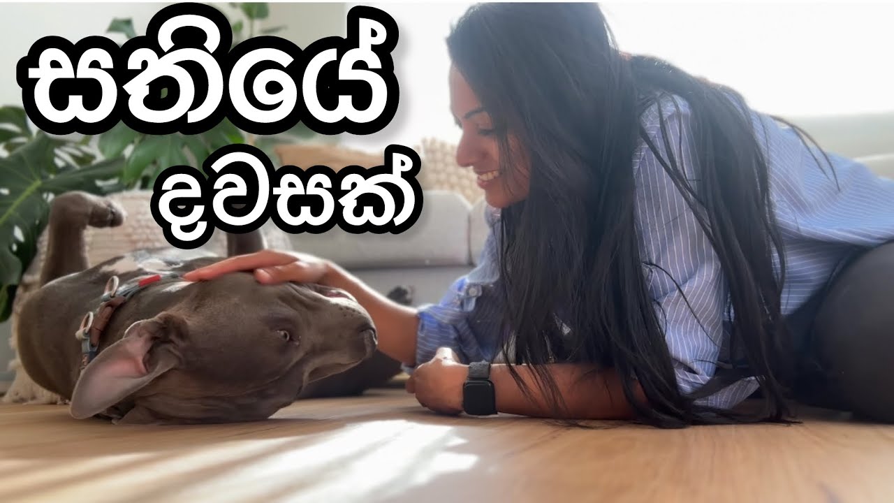 Spend a week day with me- Mini Vlog