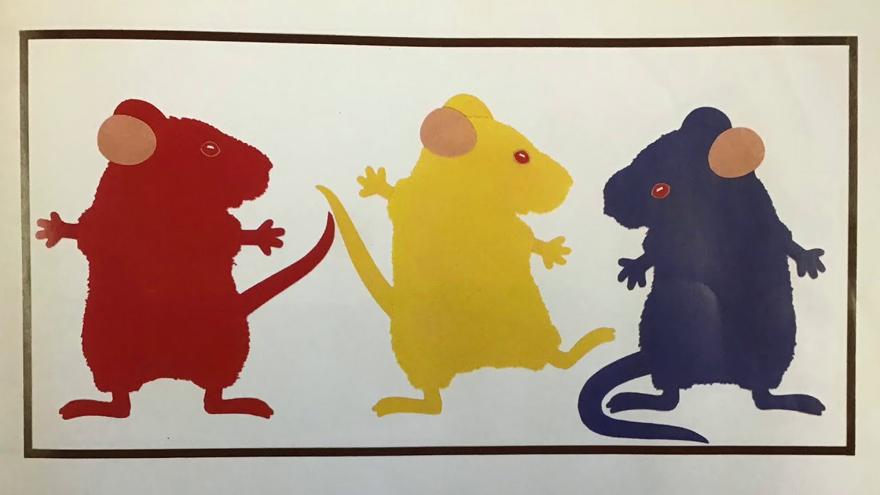 Mouse Paint- Read Aloud