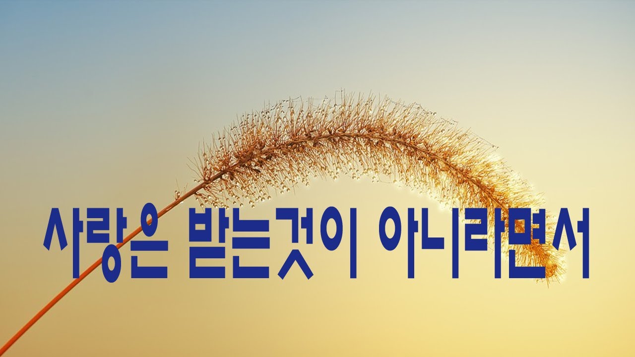 가요, 해오라기 - 사랑은 받는것이 아니라면서, 반복듣기,  7080, 국내가요, 한국가요, KPOP