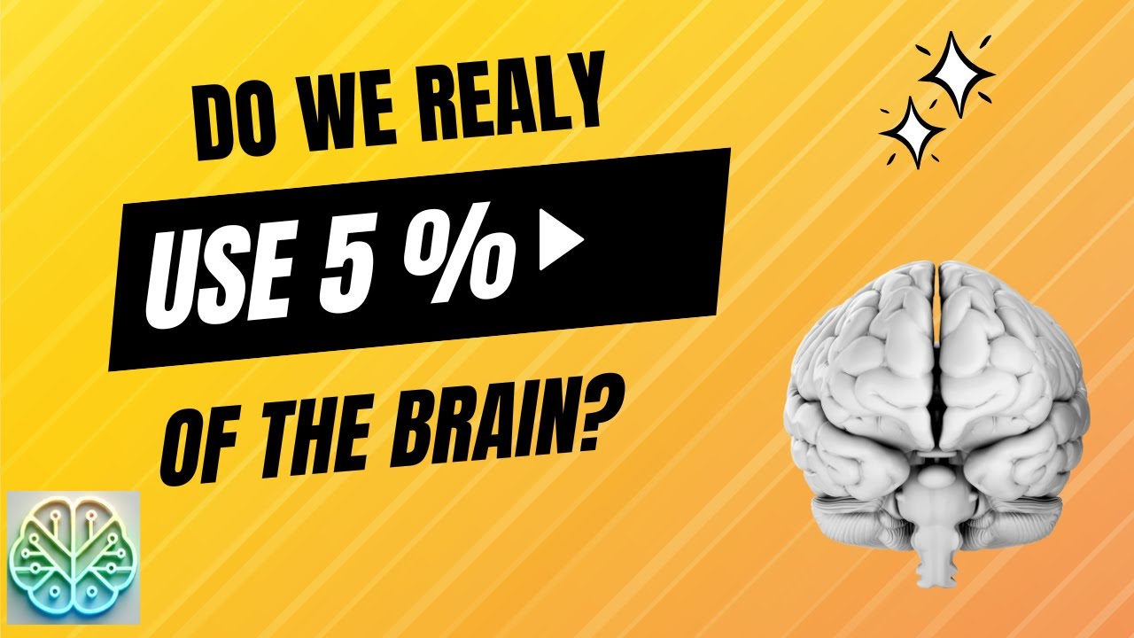 Действительно ли мы используем только 5% мозга?