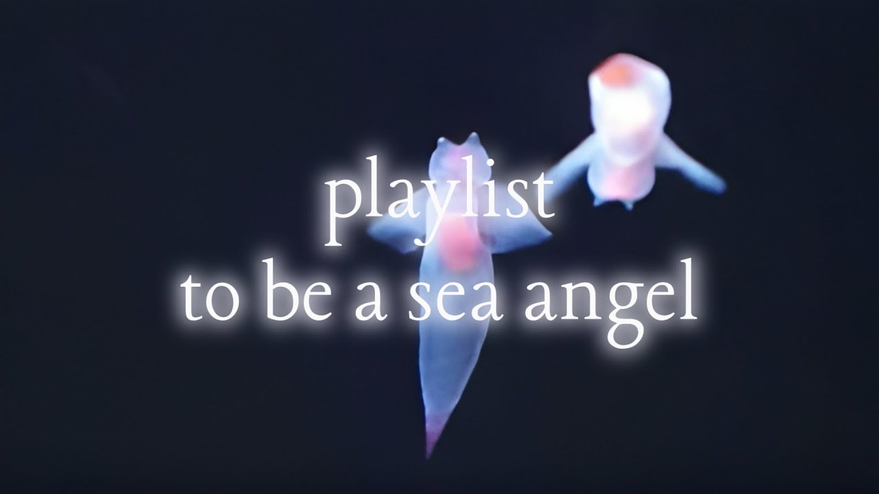 𓆩♡𓆪 | playlist to be a sea angel