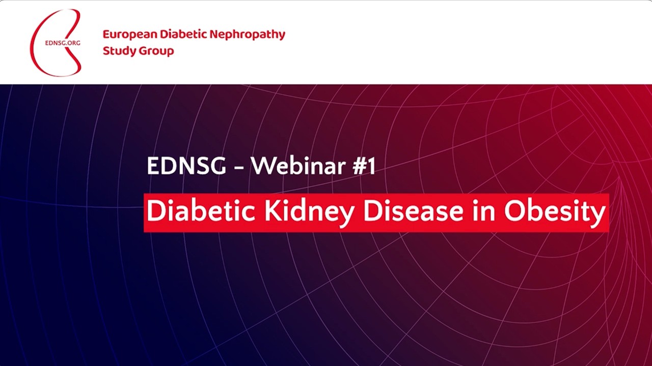 Diabetic Kidney Disease in Obesity | EDNSG Webinar #1