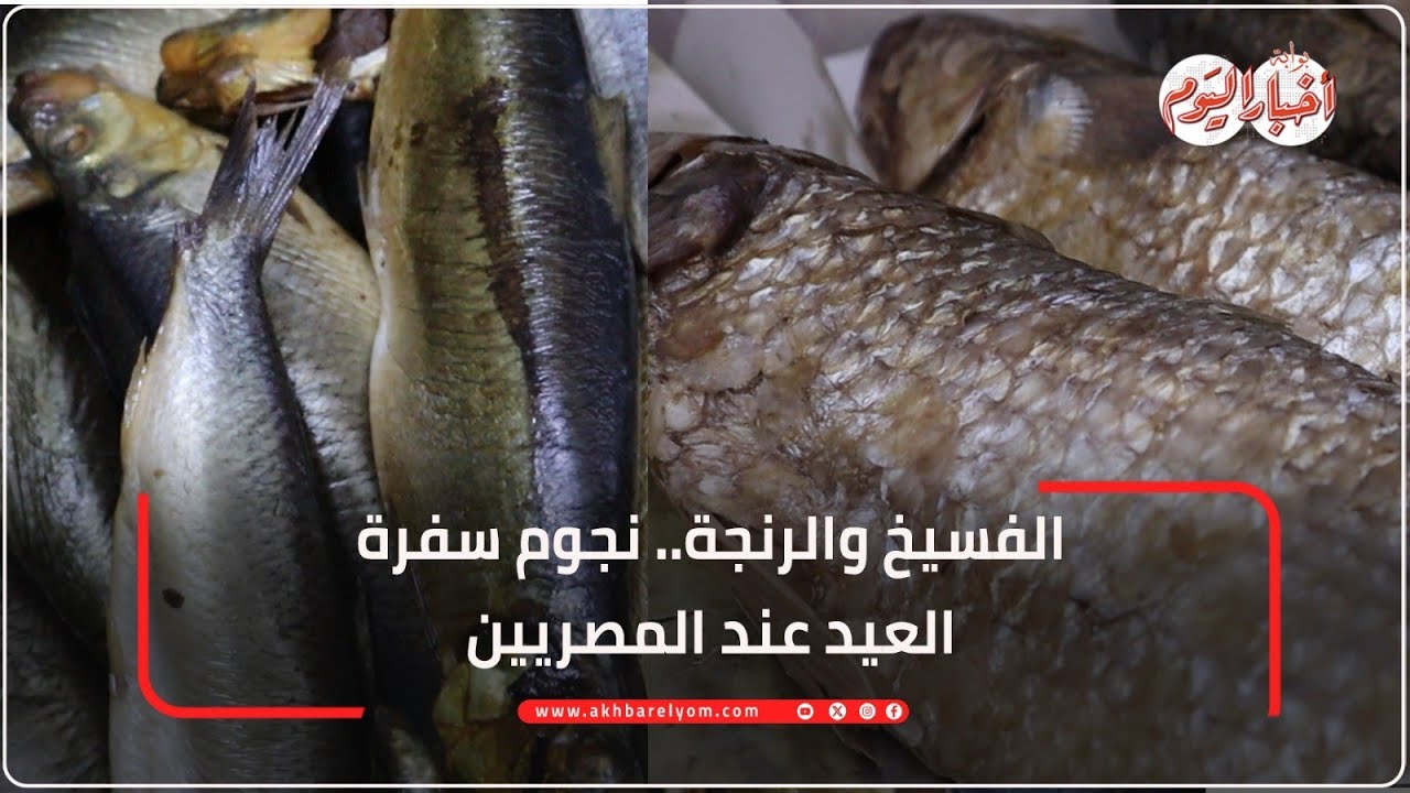 الفسيخ والرنجة.. نجوم سفرة العيد عند المصريين 