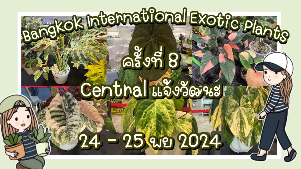 BANGKOK INTERNATIONAL EXOTIC PLANTS ครั้งที่ 8 วันที่24-26 พย 2567ที่ Central แจ้งวัฒนะ ชั้น 5.5