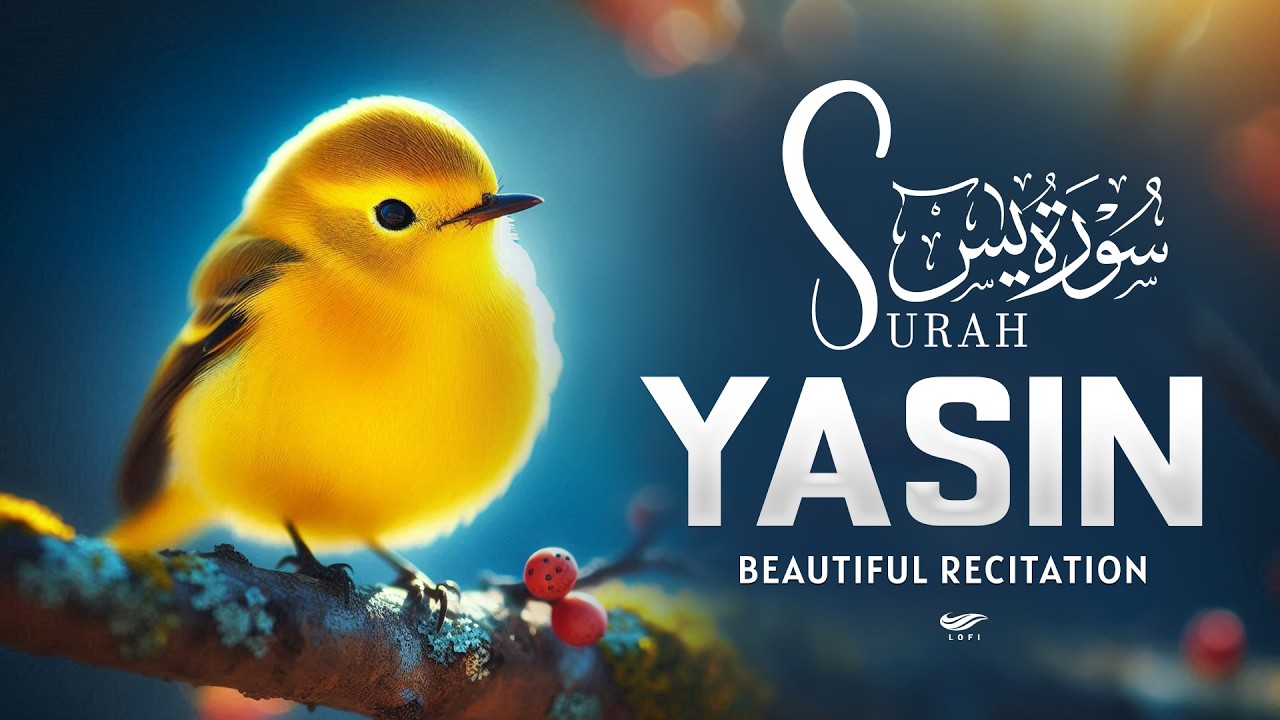 Surah Yasin(سورة يس)Heart Melting Recitation Healing The Pain Of The Heart