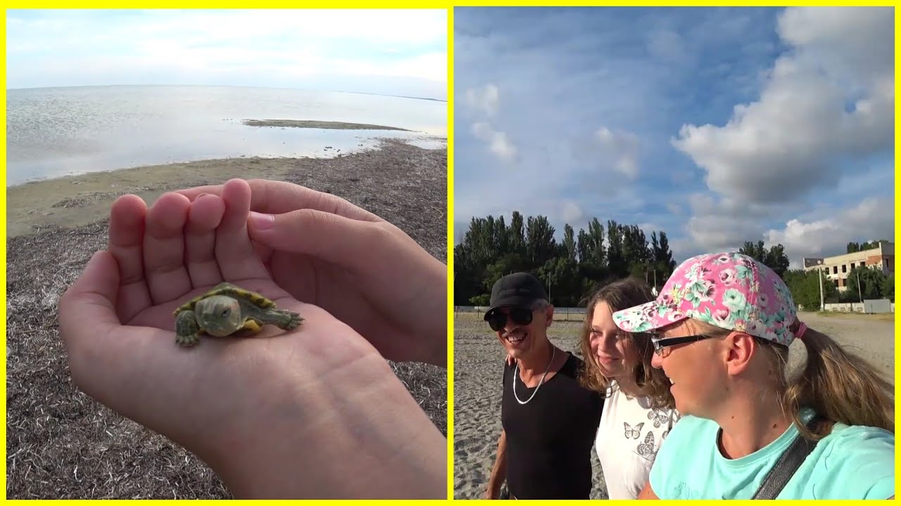 Дорога в Скадовск,  Нашли жильё, Тося едем отдыхать на море)