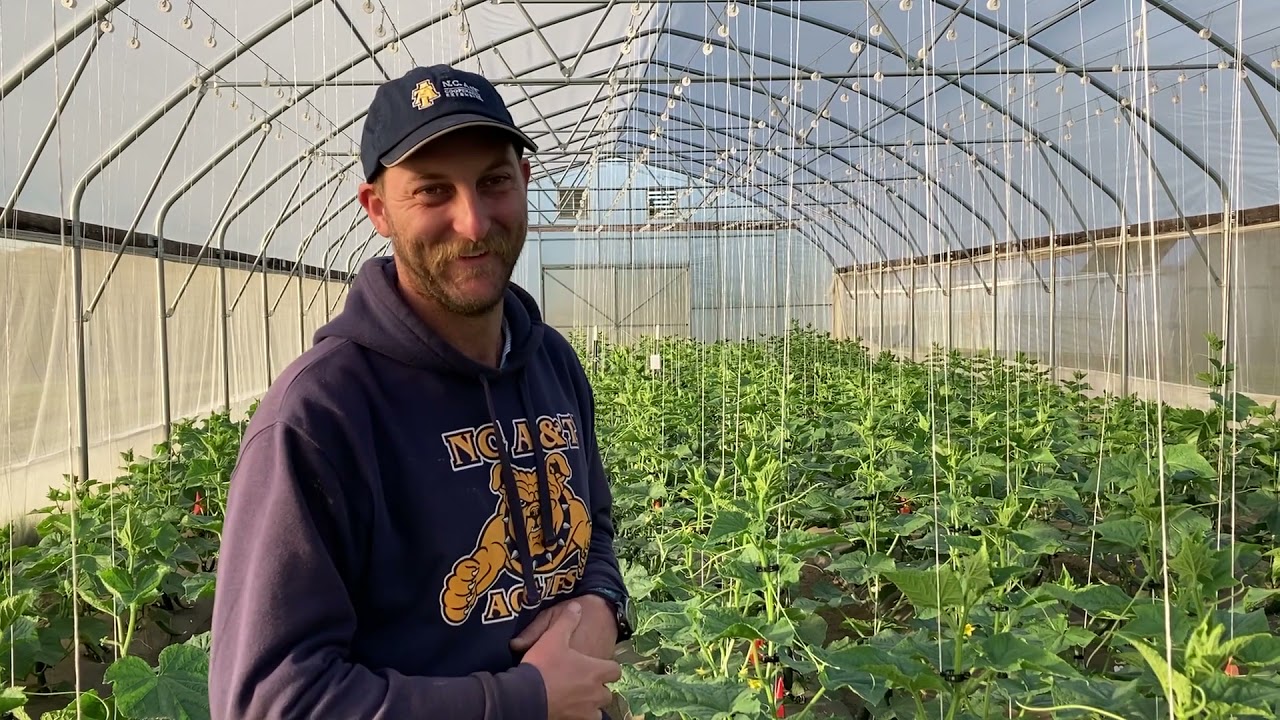 Farm Tour: NC A&T University Farm Research