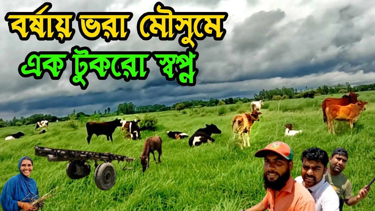 আজিমনগর চরের বর্ষায় ভরা মৌসুমে গড়ে উঠেছে এক টুকরো স্বপ্ন || @MatioManushbyRatan ||