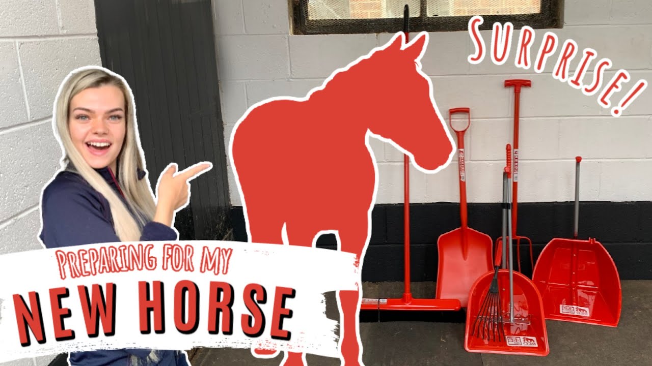 Preparing For My NEW HORSE | Lilpetchannel