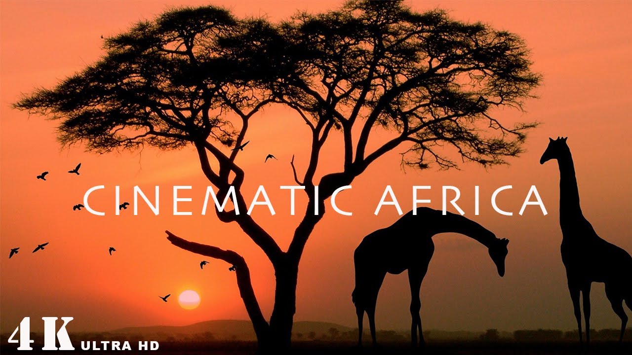 Africa - Cinematic Travel Film //4K