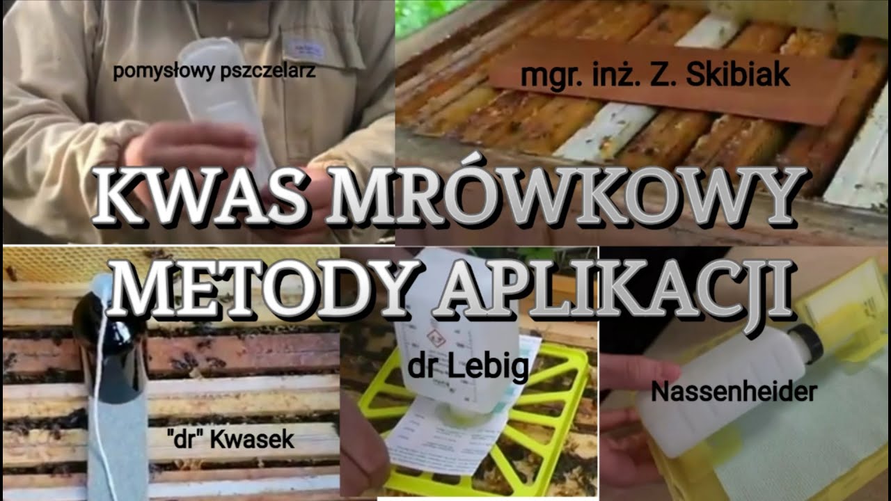 KWAS MRÓWKOWY-METODY APLIKACJI