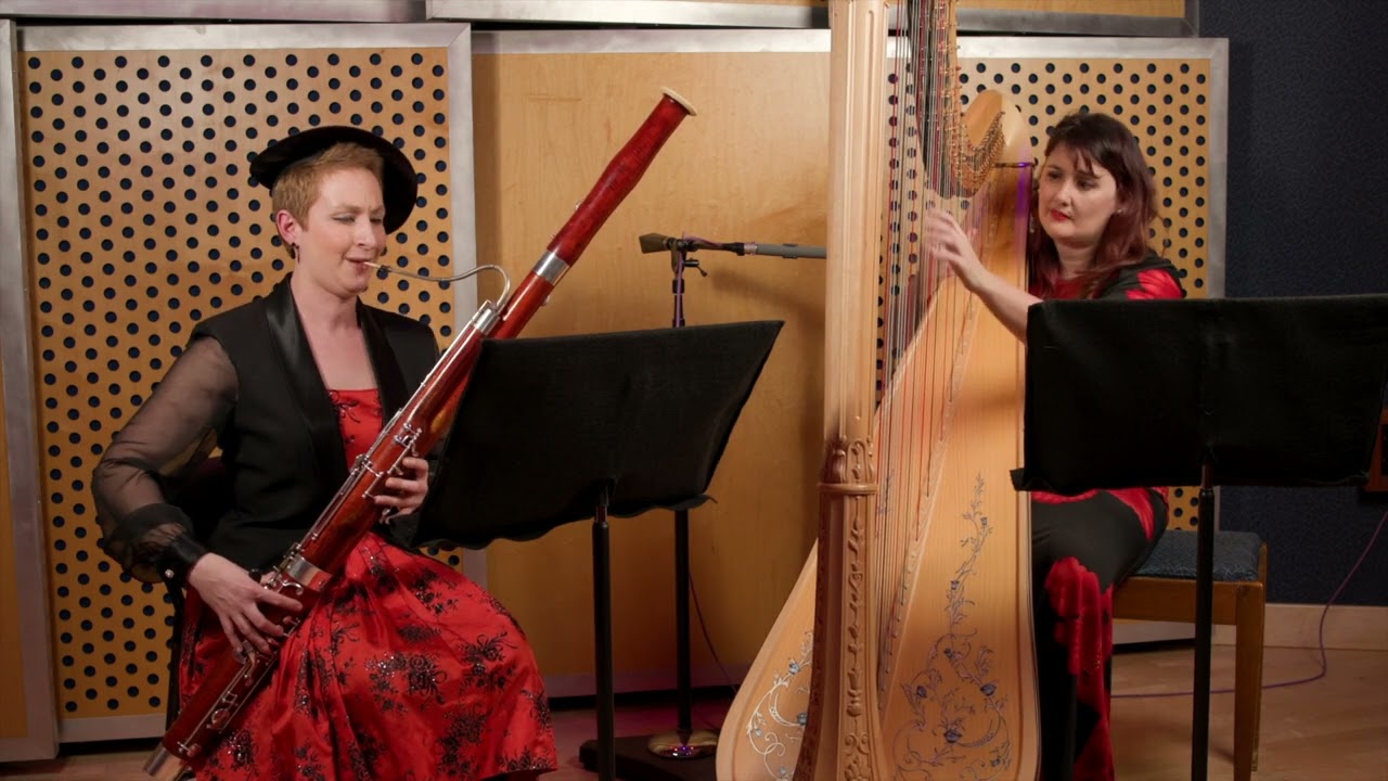 Sonata for Bassoon and Harp - II Relaxed - Andy Scott