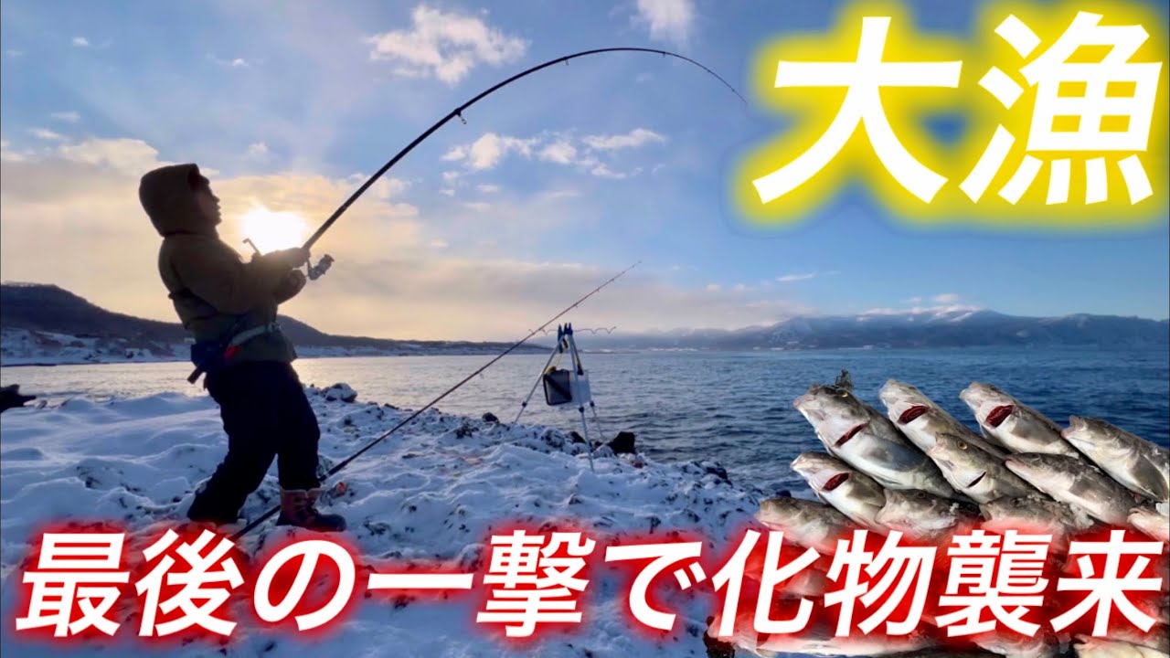 【投げ釣り】シーズン初の投げ釣りでホッケが大漁！そして最後の一撃でバケモン◯◯◯襲来！