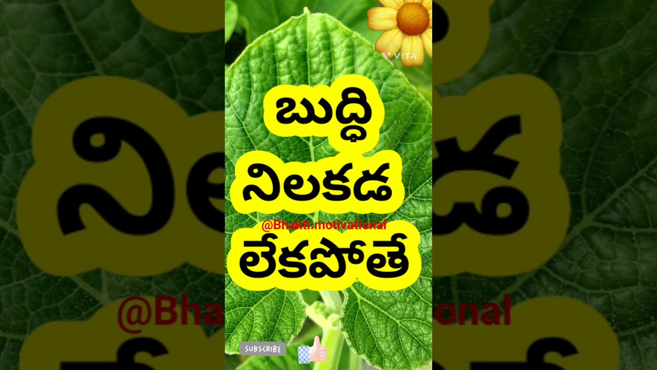 #quotes #shorts #short #shortvideo #suktulu #motivational #inspiration #subscribe #lifelessons #new