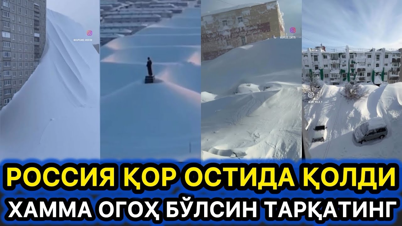 ДАХШАТ РОССИЯ КОРДА КОЛИБ КЕТДИ