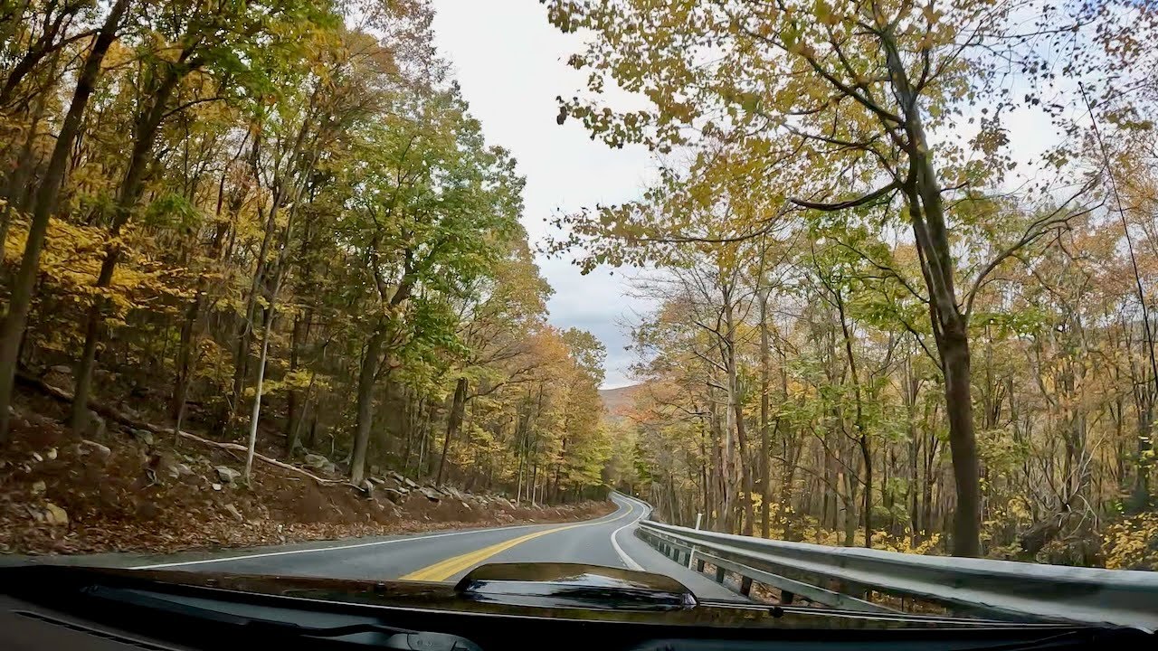 Peak Fall on Gold Mine Road