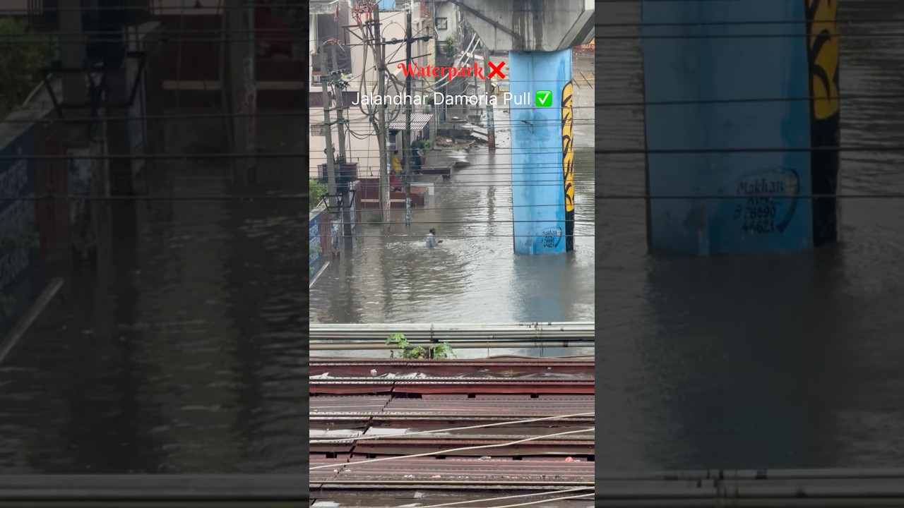 Jalandhar Alert ‼️🔔 #rain #flood #jalandhar #punjab #foryou #viral #explore #floods #wmk 🙏🏻