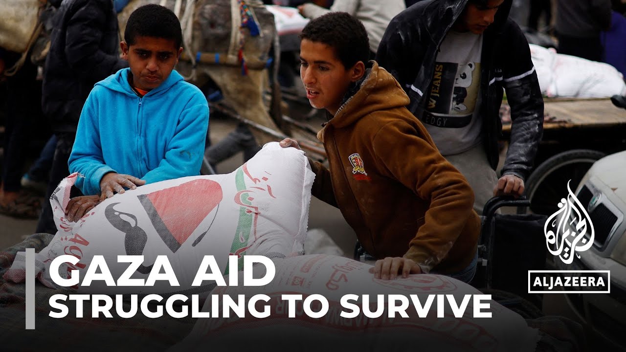 Gaza's displaced families struggle as little aid comes through the Rafah crossing