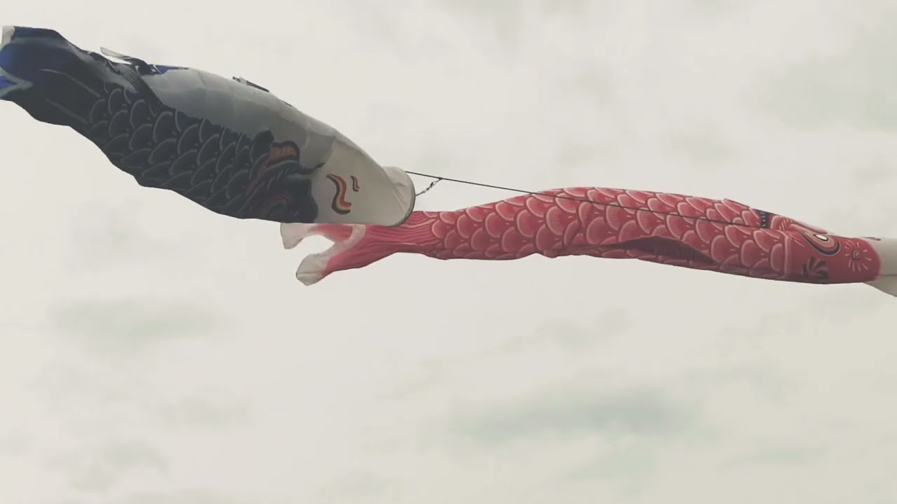 Kazuma Okabayashi - Unbound