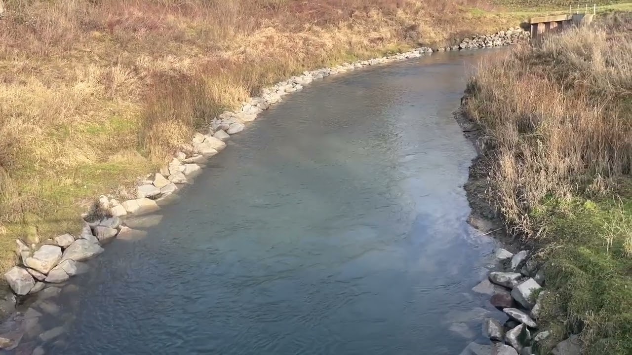 20260201 Le Rhin Beinheim 