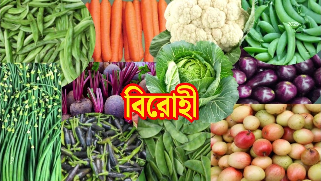 বিরোহী হাটে সবজির দাম আনেক সস্তা। Birohi Sabj Market। Wholesale Vegetable Market in Kolkata ।